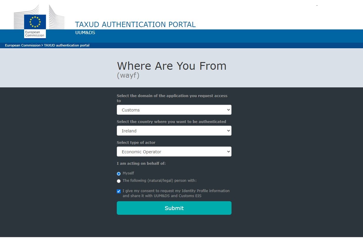 Image of Taxud portal with details filled in.