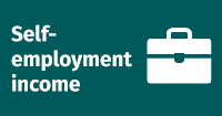 Self employment income